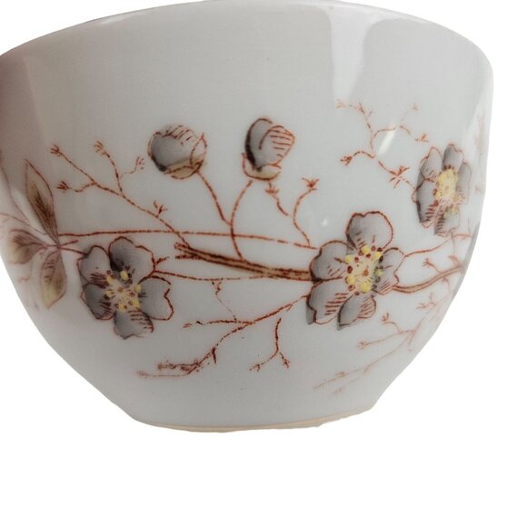 Marx And Gutherz Carlsbad Austria Ceramic Tea Cup Saucer Floral 1459 White Brown - Picture 6 of 9